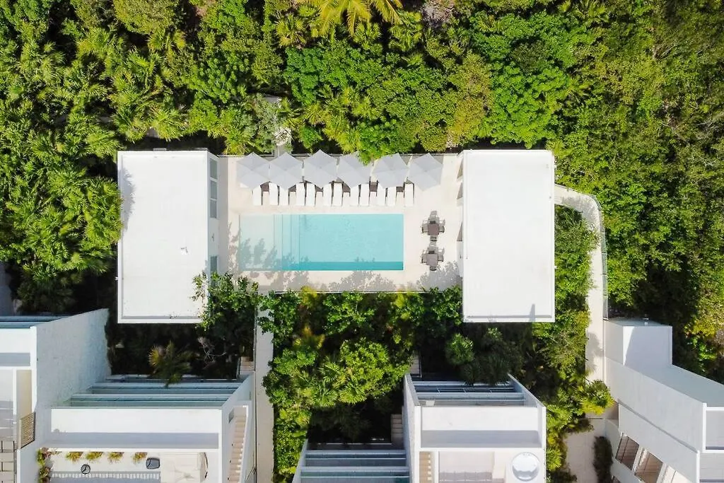 Jungle Joy Prv Jacuzzi Beach Access Rooftop Pools W Sea Views + Beach Club 艾库玛尔 0*,  墨西哥