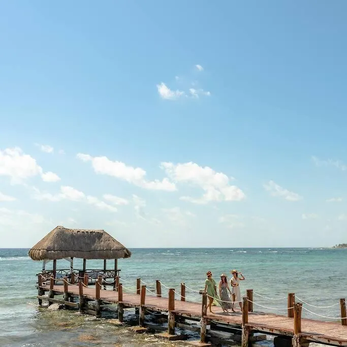 Jungle Joy Prv Jacuzzi Beach Access Rooftop Pools W Sea Views + Beach Club Акумаль Апартаменты