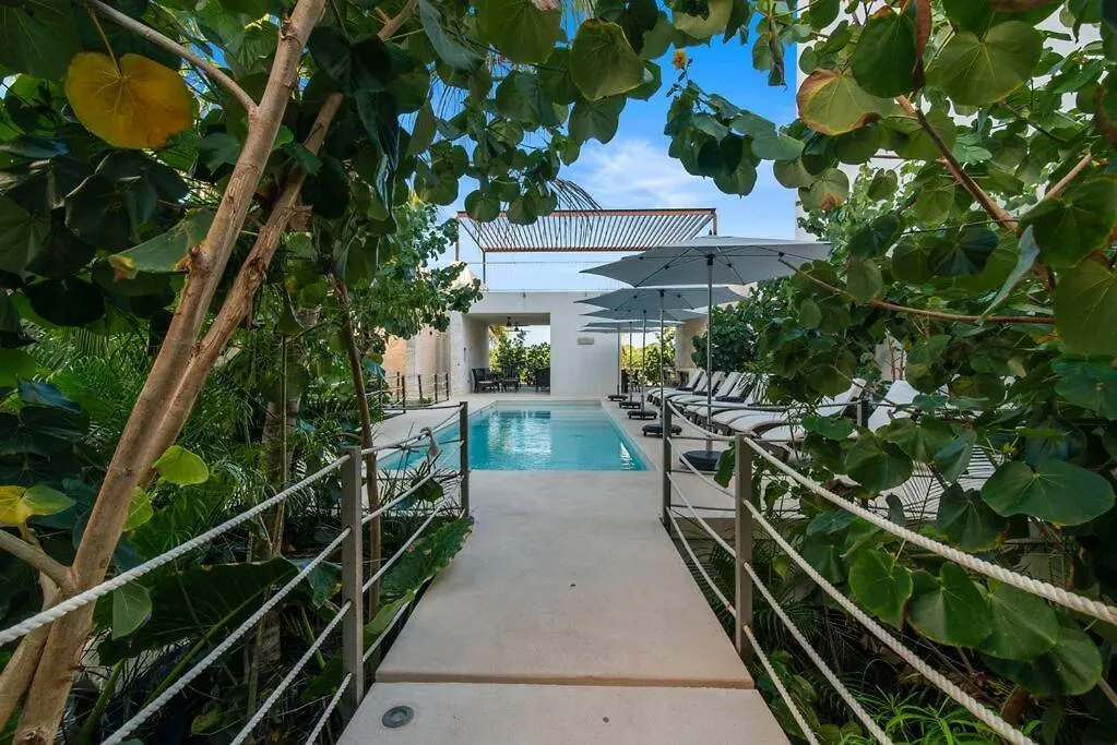 Jungle Joy Prv Jacuzzi Beach Access Rooftop Pools W Sea Views + Beach Club Акумаль Мексика